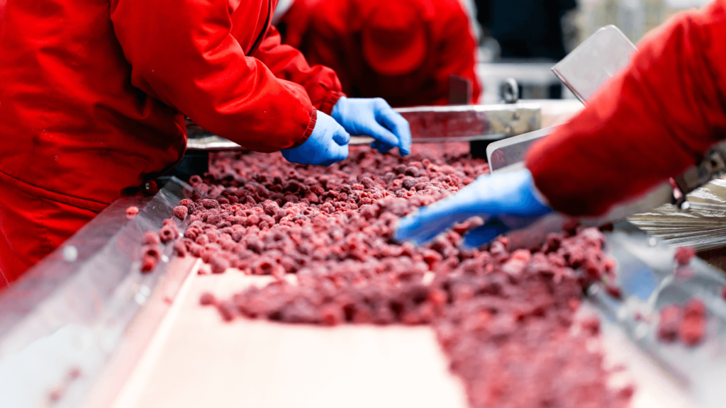 El papel del propilenglicol y etilenglicol en la refrigeración industrial de frutas y hortalizas.png